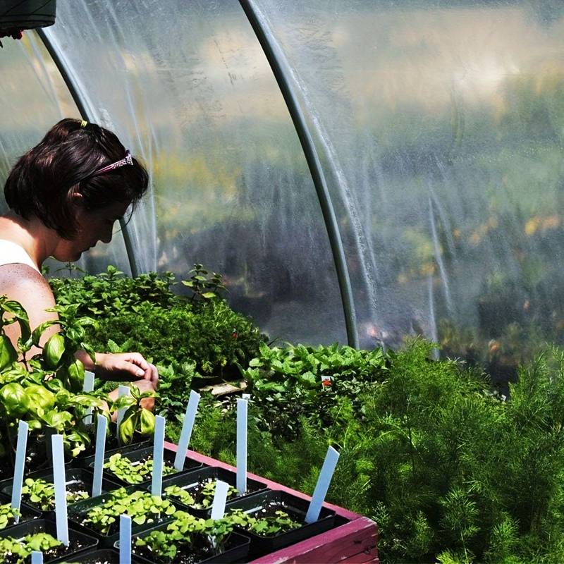 القماش المشمع الشفاف 2*3 4 5 6 - مراجعة Sun Sail Shade وسعره